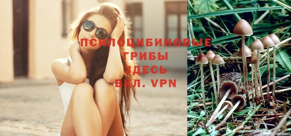 экстази Осташков