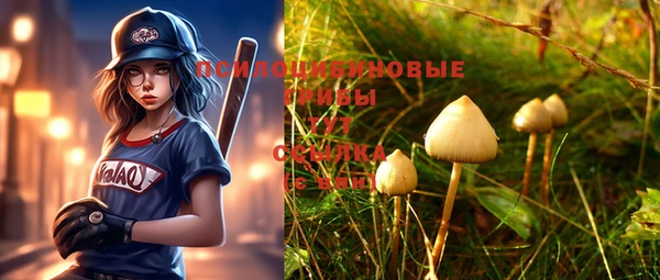 экстази Осташков