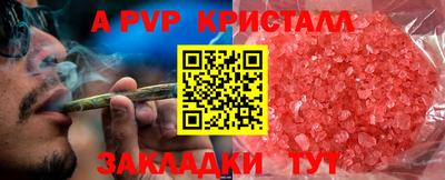 шишки Гагарин