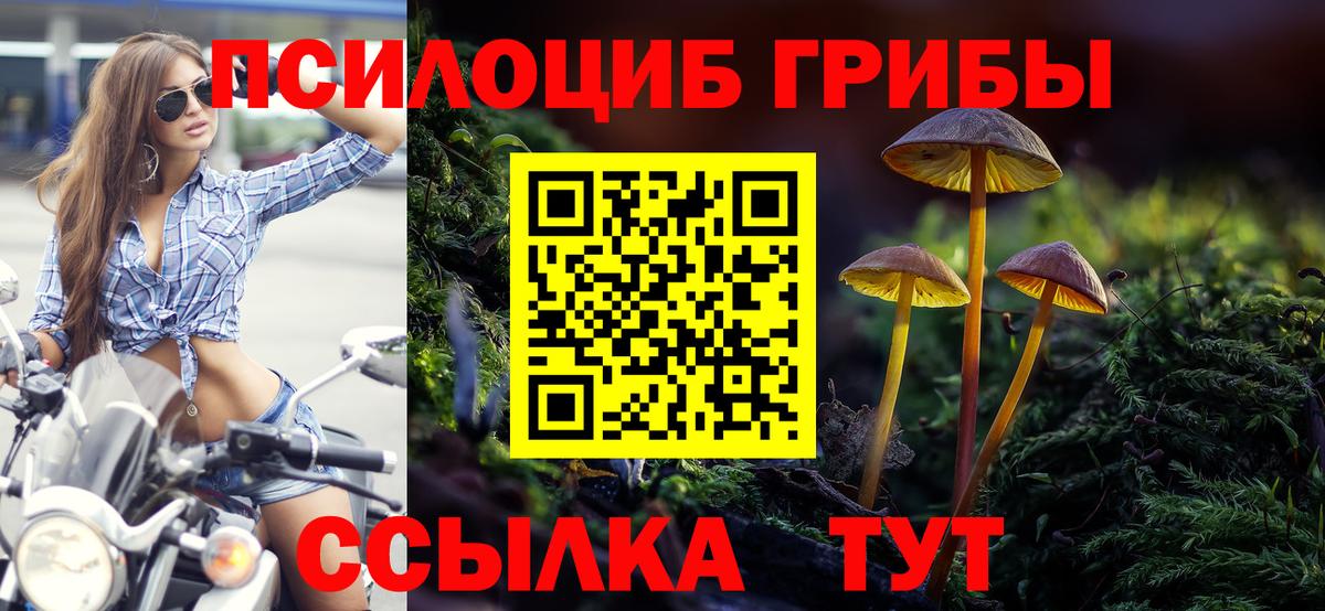 Псилоцибиновые грибы прущие грибы Улан-Удэ