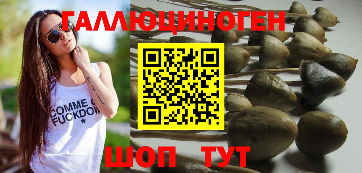 Улан-Удэ  Галлюциногенные грибы Psilocybe  Вход с VPN 